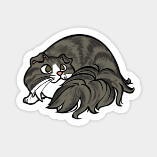 All Curled Up--Longhaired Scottish Fold Tabby Style Sticker